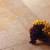 Corinth Natural Stone Flooring by The Floor Guy
